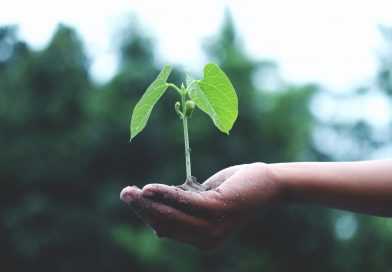 Agricoltura, nasce piattaforma Banche pubbliche per più investimenti ecologici